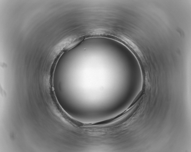 X0000090950485200708091331