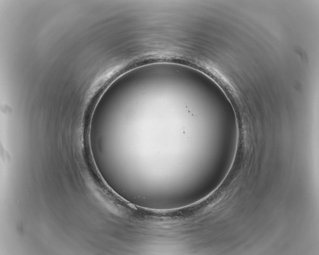 X0000090950486200708091331
