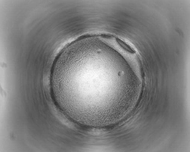 X0000090950487200708091331