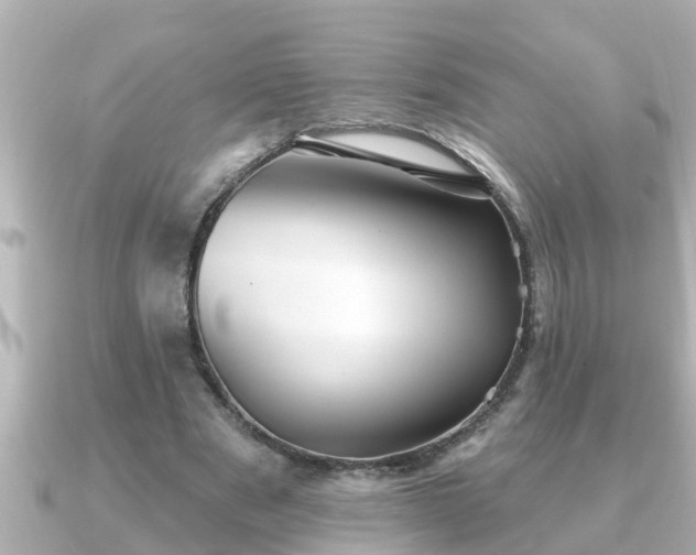 X0000090950489200708091331