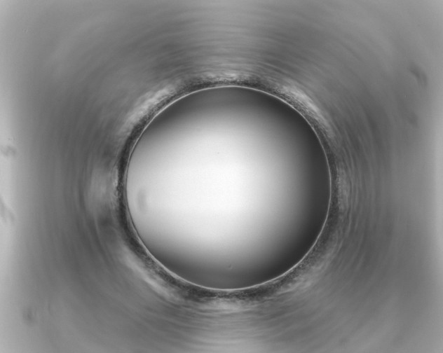 X0000090950490200708091331