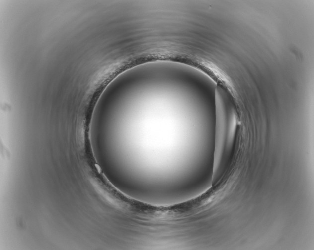 X0000090950493200708091331