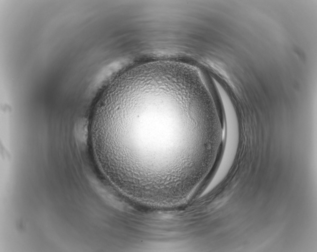 X0000090950495200708091331