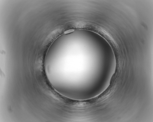 X0000090950497200708091331