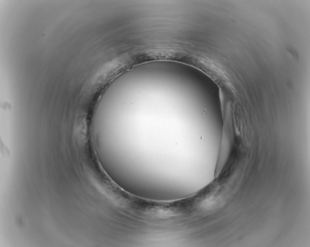 X0000090950498200708091331