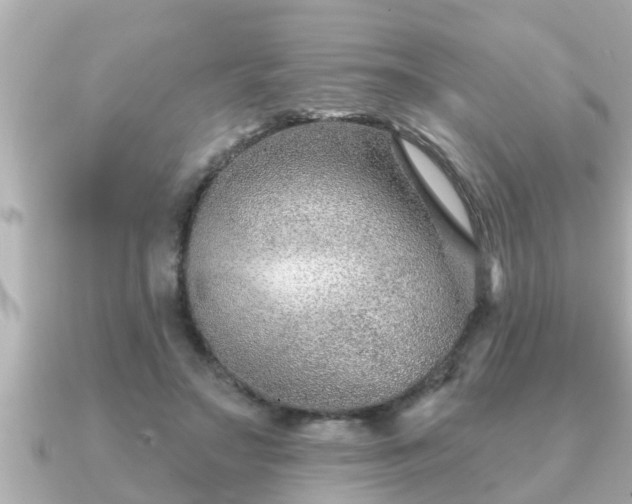 X0000090950499200708091331