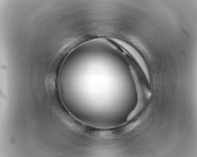 X0000090950501200708091331