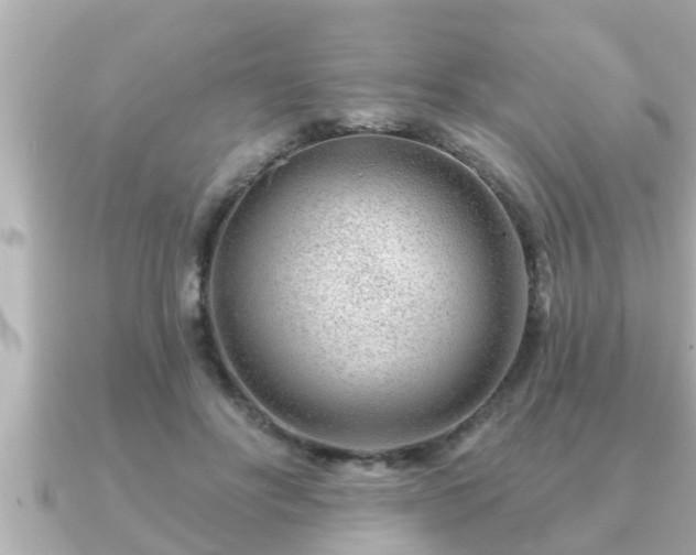 X0000090950502200708091331