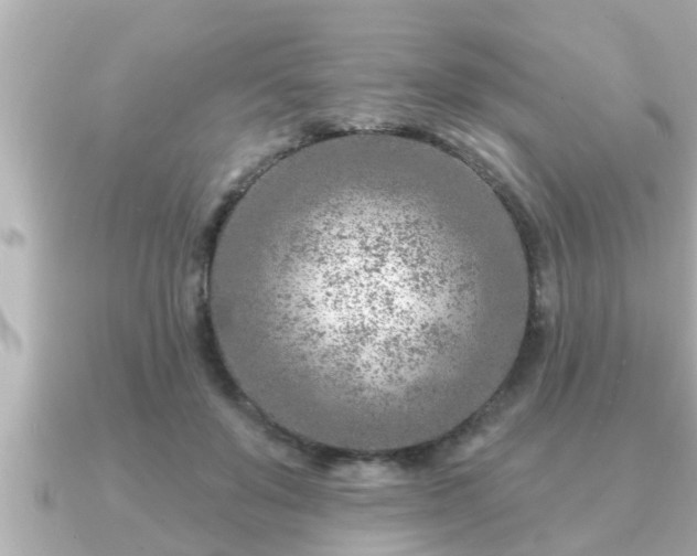 X0000090950503200708091331