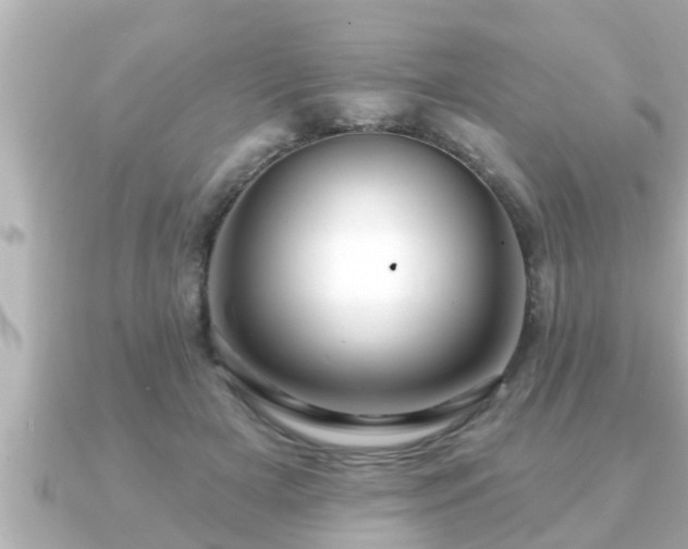 X0000090950505200708091331
