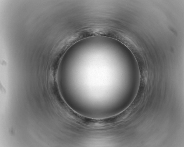 X0000090950506200708091331