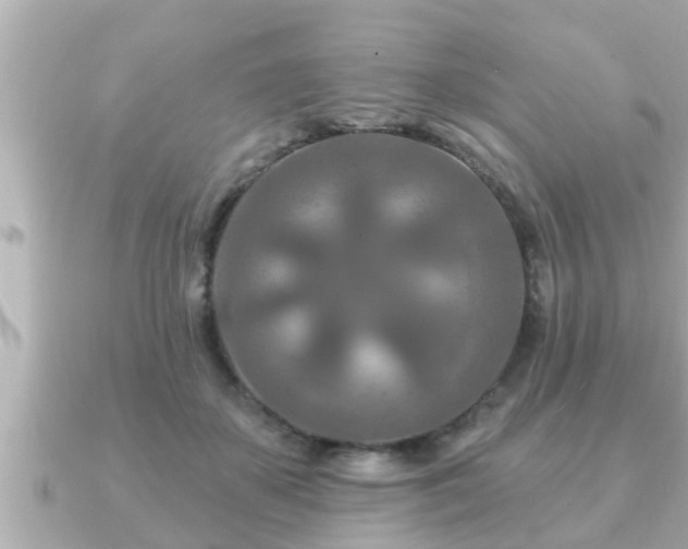 X0000090950507200708091330