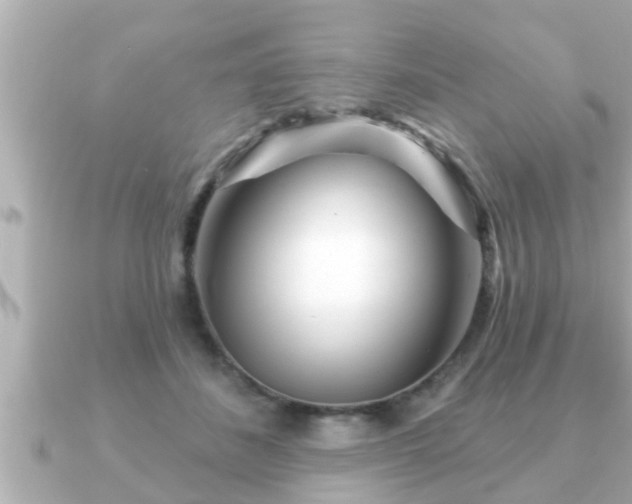 X0000090950508200708091330