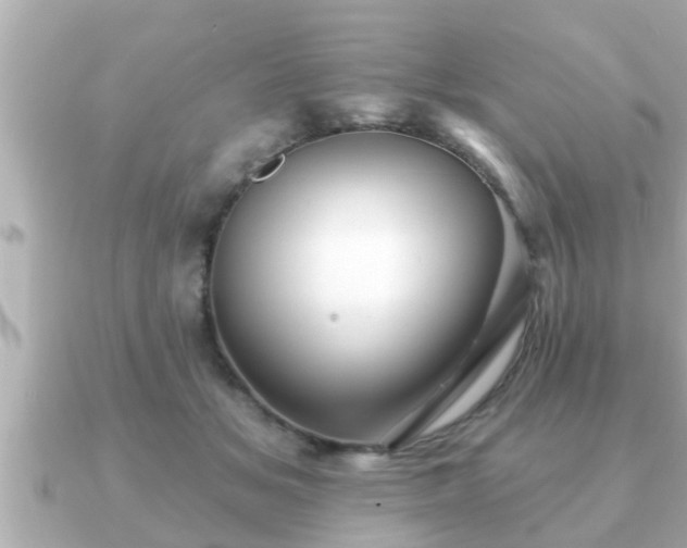X0000090950509200708091330