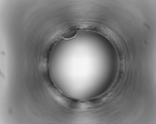 X0000090950510200708091330