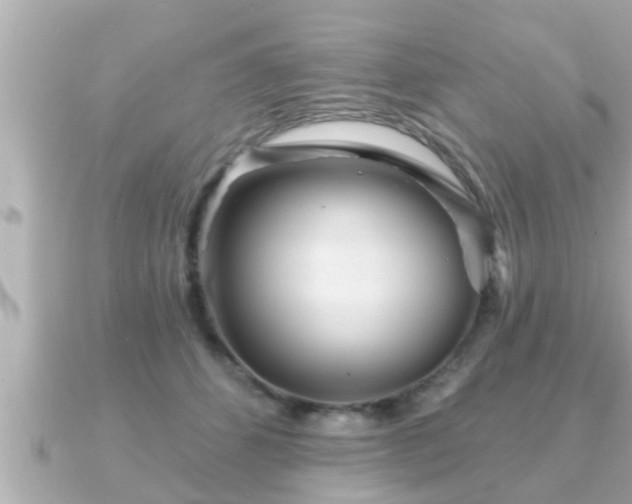 X0000090950512200708091330