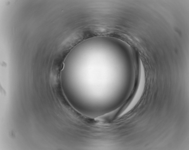 X0000090950515200708091330
