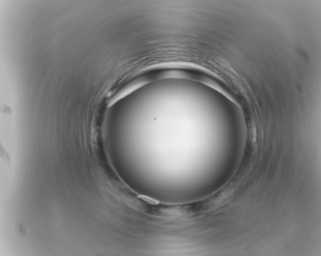 X0000090950516200708091330