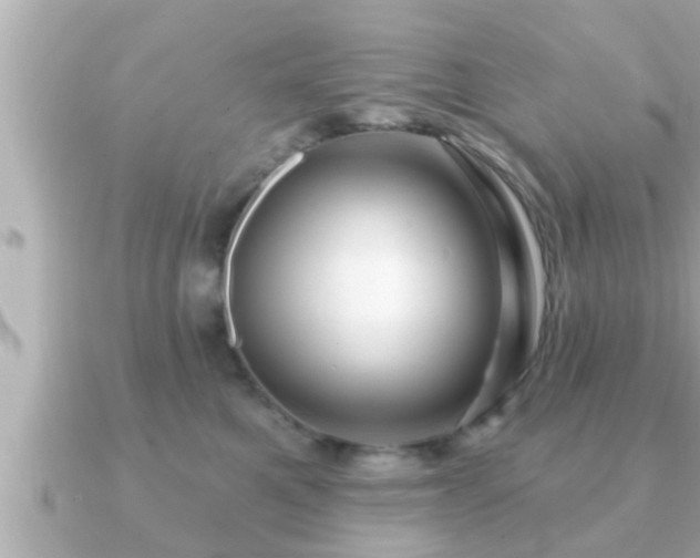 X0000090950521200708091330