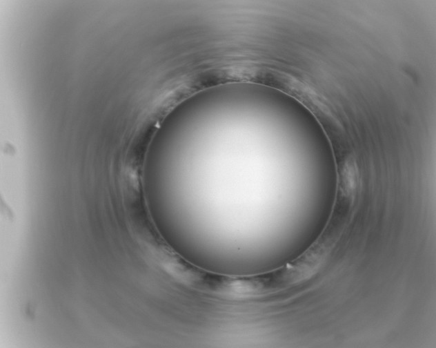 X0000090950522200708091330