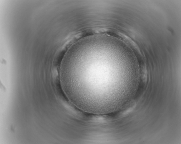 X0000090950523200708091330