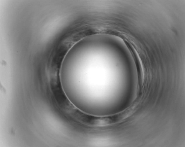 X0000090950525200708091330