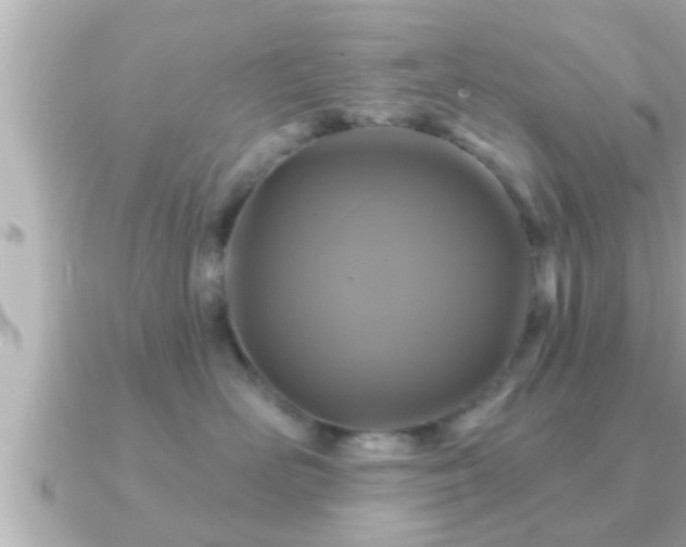 X0000090950526200708091330