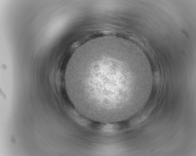 X0000090950527200708091330