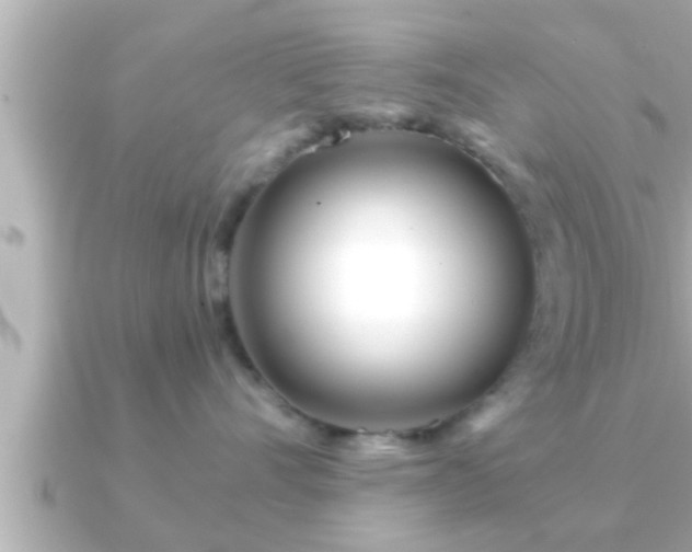 X0000090950528200708091330