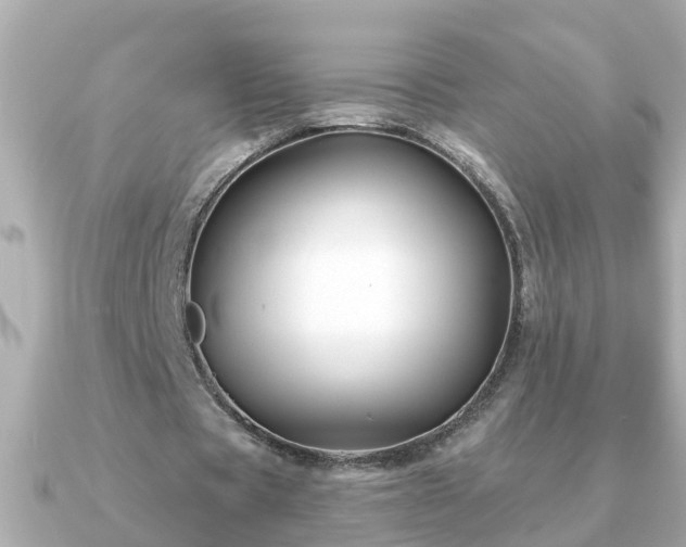 X0000090950529200708091330