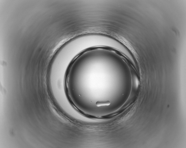 X0000090950530200708091330