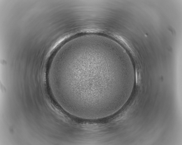 X0000090950531200708091330