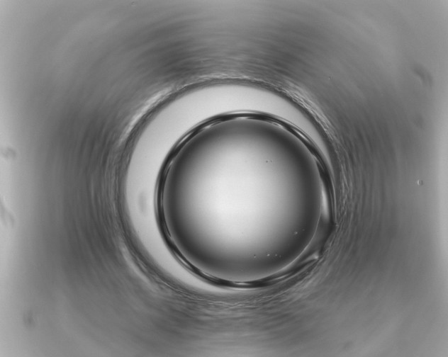X0000090950534200708091330