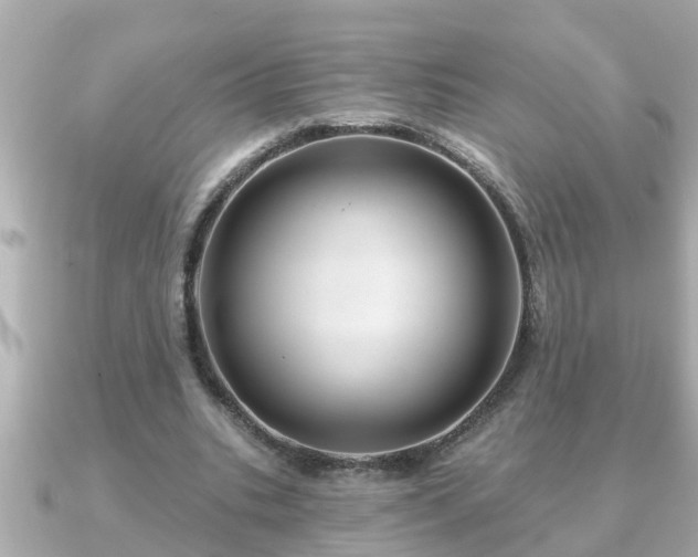 X0000090950535200708091330