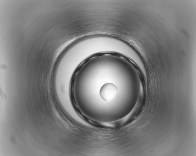X0000090950536200708091330
