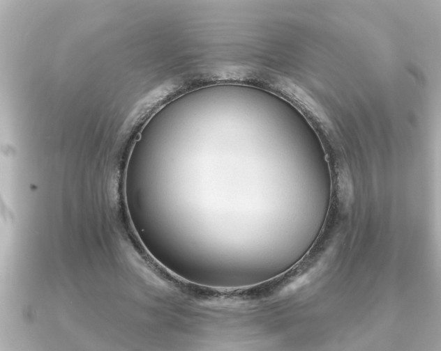 X0000090950537200708091330