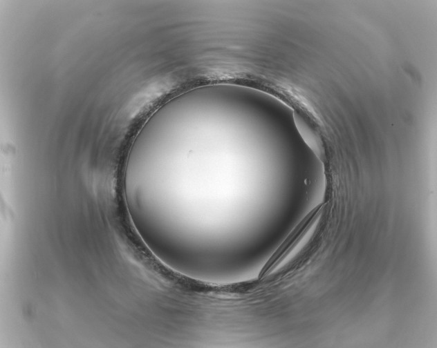 X0000090950539200708091330