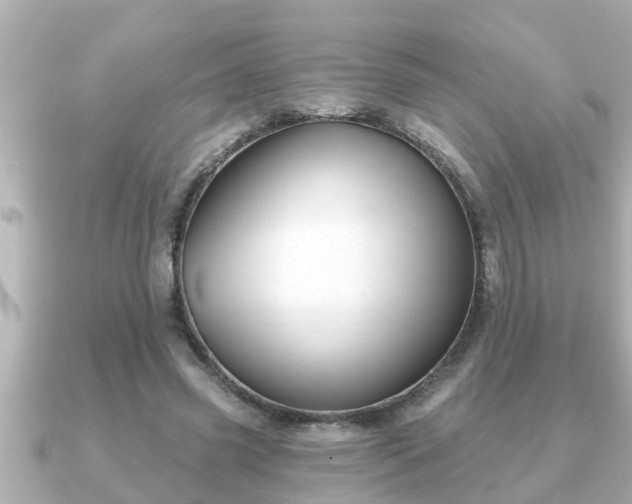 X0000090950541200708091330