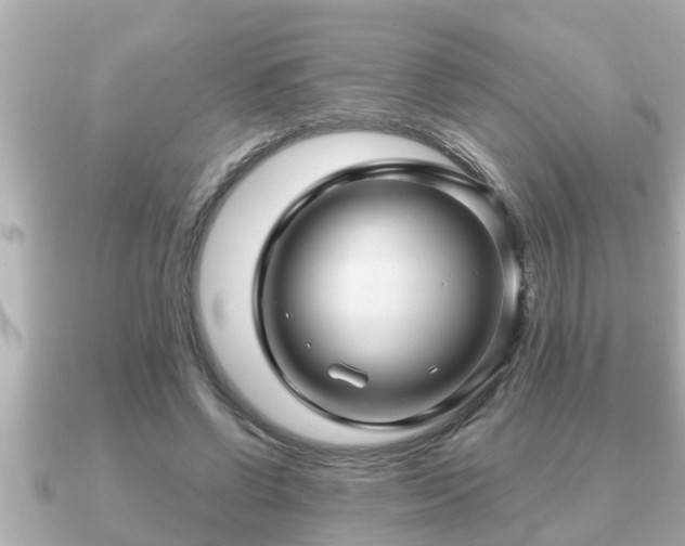 X0000090950542200708091330