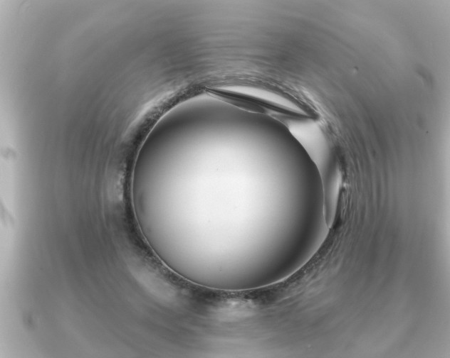 X0000090950543200708091330
