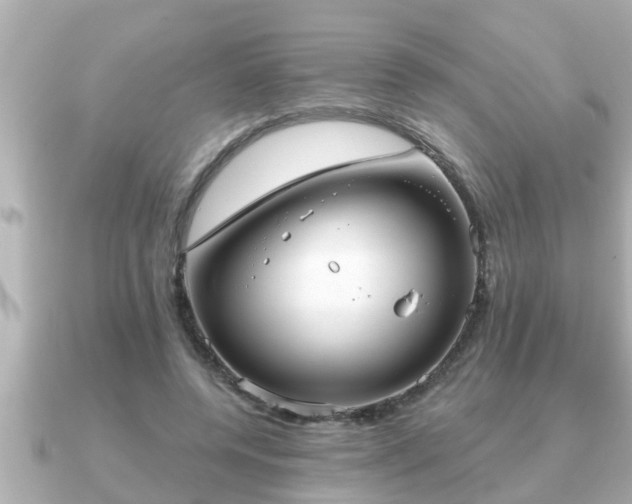 X0000090950544200708091330