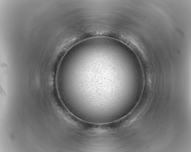 X0000090950545200708091330