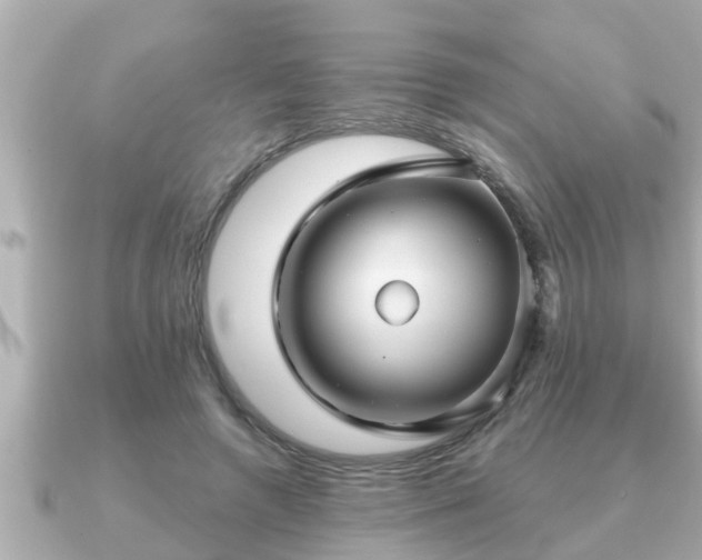 X0000090950546200708091330