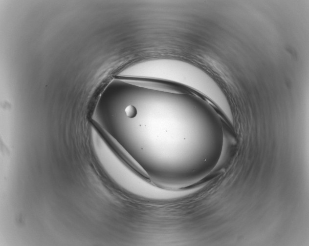 X0000090950548200708091330