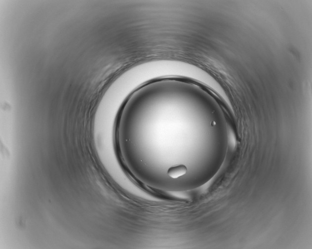 X0000090950550200708091330
