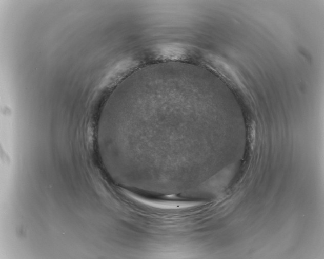 X0000090950551200708091330