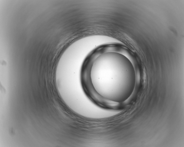 X0000090950552200708091330