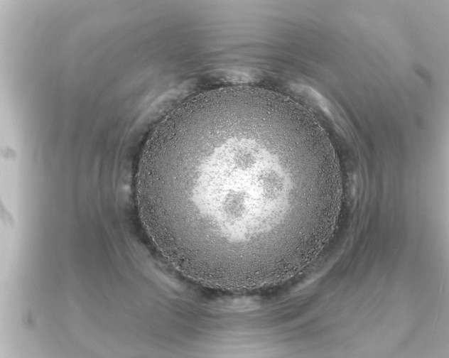 X0000090950553200708091330