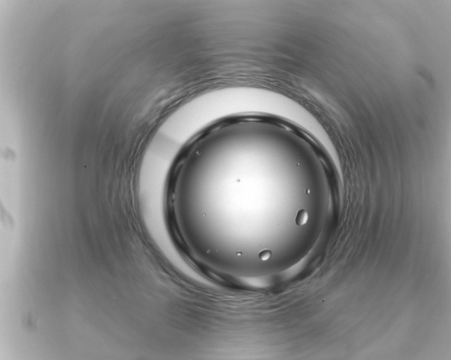 X0000090950554200708091330