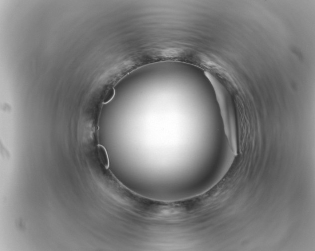 X0000090950555200708091330